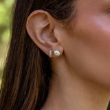 Oasis Studs