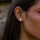 Oasis Studs